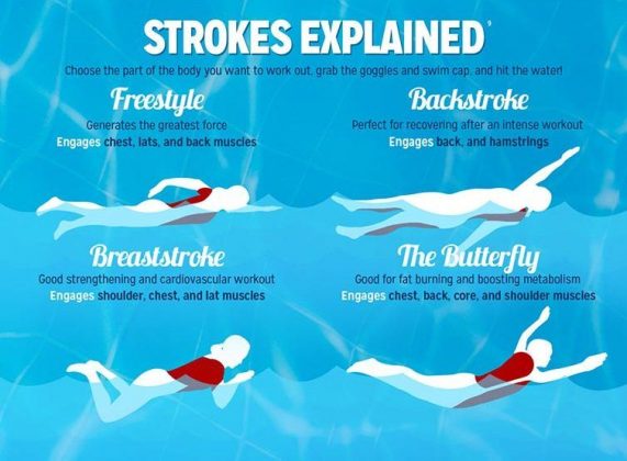 what-are-the-most-popular-swimming-strokes-xsport-net