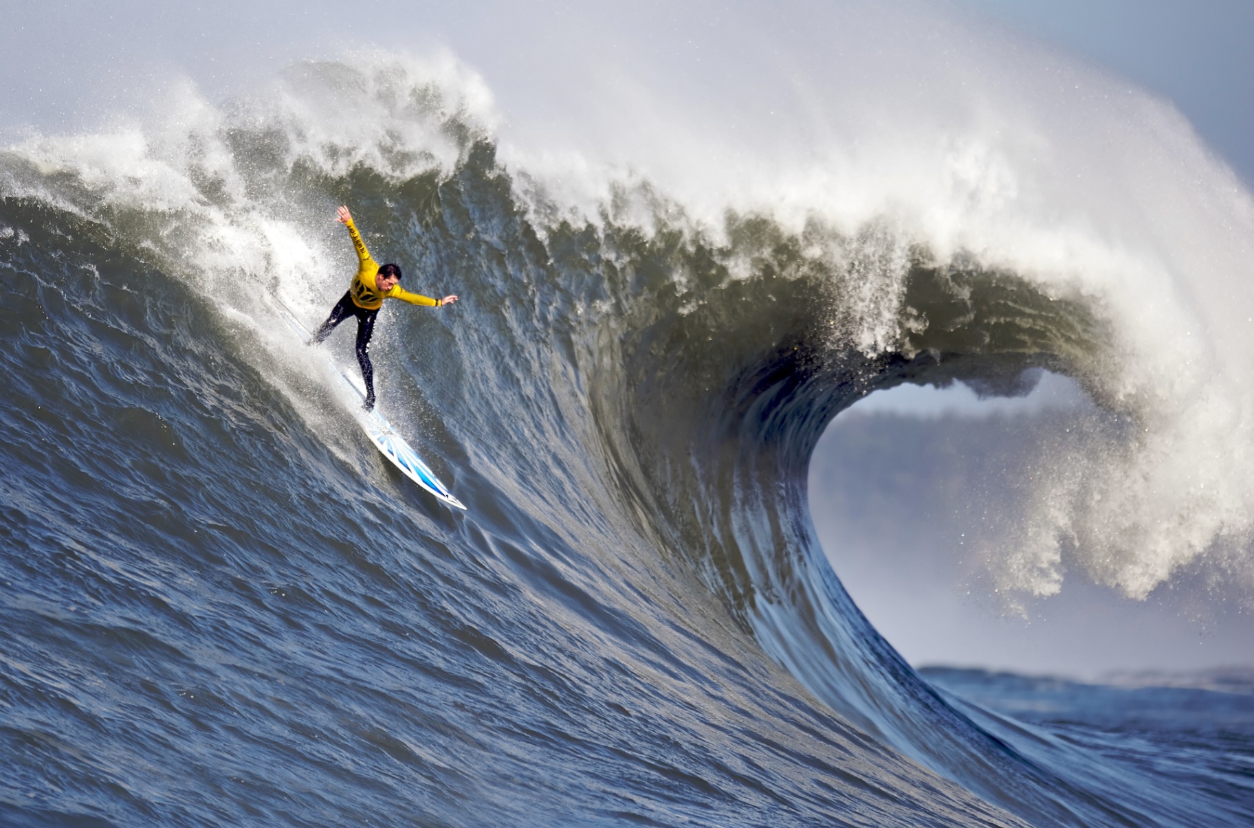 Discover the Origin of Surf