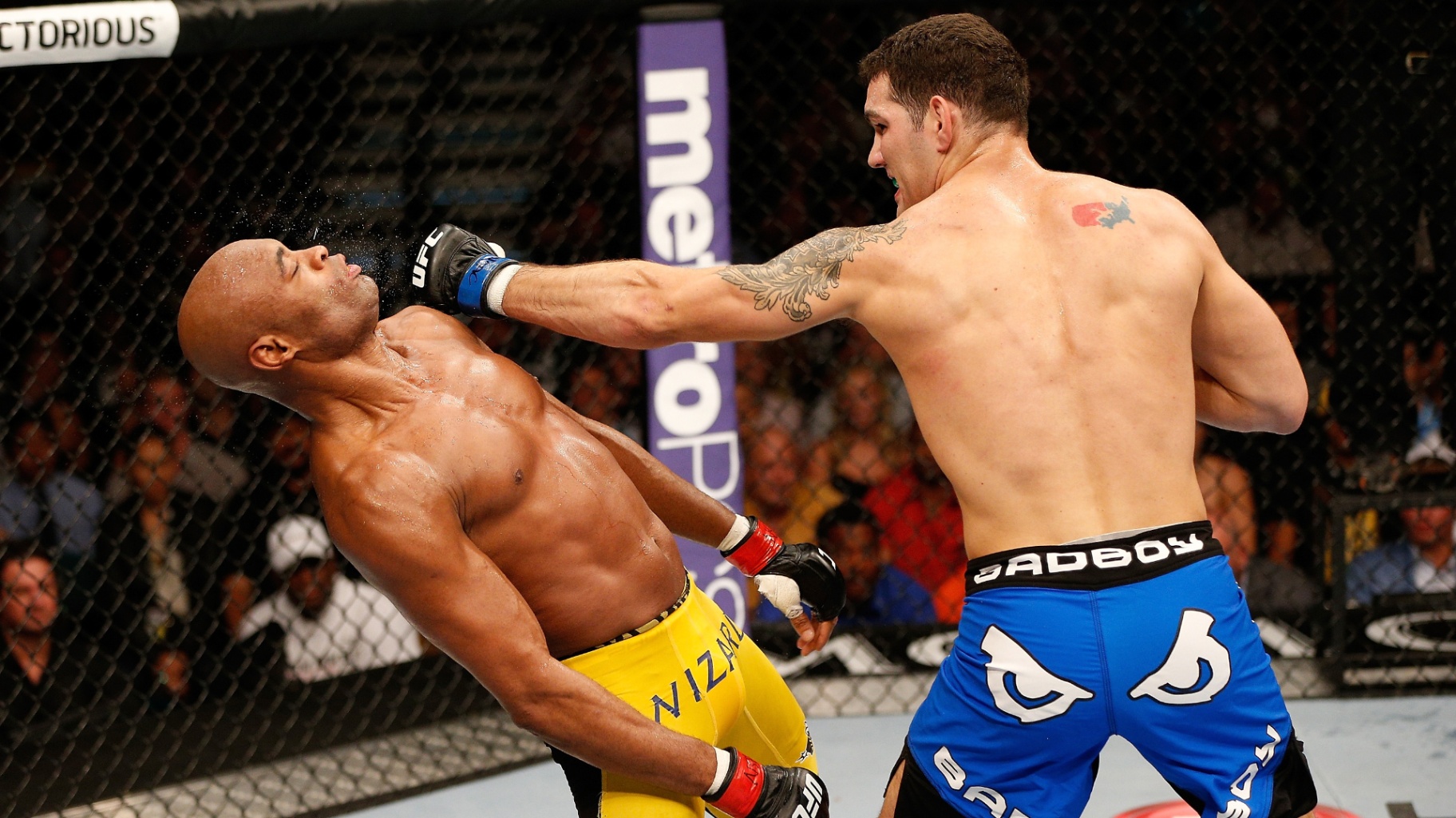 Check Out The Biggest Knockouts In UFC History Xsport Net